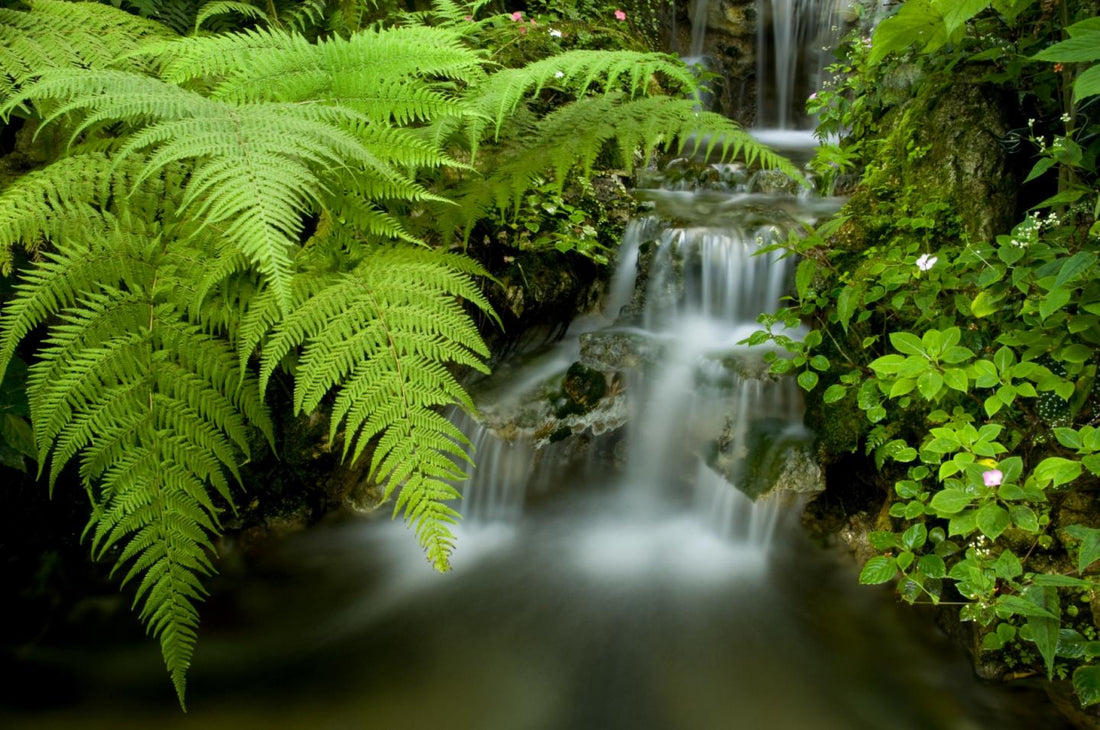 The Power of Natural Ingredients Over Synthetics